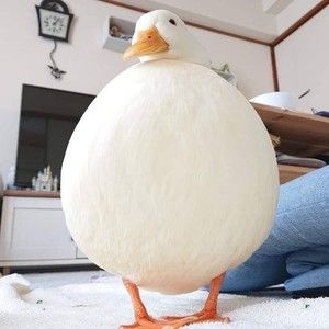 Meet your Posher, Reta